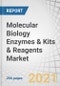 Molecular Biology Enzymes & Kits & Reagents Market by Product (Kit, Reagent, Enzyme), Application (PCR, Sequencing, Epigenetic, Synthetic Biology), End user (Research Institutes, Pharma & Biotech Company, Hospitals) and Region - Global Forecast to 2026 - Product Thumbnail Image