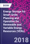 Energy Storage for Smart Grids. Planning and Operation for Renewable and Variable Energy Resources (VERs) - Product Image