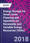 Energy Storage for Smart Grids. Planning and Operation for Renewable and Variable Energy Resources (VERs) - Product Thumbnail Image