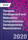 Synapse Development and Maturation. Comprehensive Developmental Neuroscience- Product Image