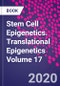 Stem Cell Epigenetics. Translational Epigenetics Volume 17 - Product Thumbnail Image