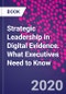 Strategic Leadership in Digital Evidence. What Executives Need to Know - Product Thumbnail Image