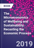 The Microeconomics of Wellbeing and Sustainability. Recasting the Economic Process- Product Image