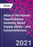 Atlas of the Human Hypothalamus. Anatomy, Blood Supply, Myelo-, and Cytoarchitecture- Product Image