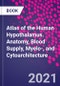 Atlas of the Human Hypothalamus. Anatomy, Blood Supply, Myelo-, and Cytoarchitecture - Product Image