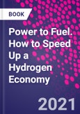 Power to Fuel. How to Speed Up a Hydrogen Economy- Product Image