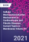 Cellular Mechanotransduction Mechanisms in Cardiovascular and Fibrotic Diseases. Current Topics in Membranes Volume 87 - Product Thumbnail Image