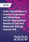 Actin Cytoskeleton in Cancer Progression and Metastasis - Part B. International Review of Cell and Molecular Biology Volume 356 - Product Image