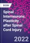 Spinal Interneurons. Plasticity after Spinal Cord Injury - Product Thumbnail Image