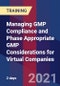 Managing GMP Compliance and Phase Appropriate GMP Considerations for Virtual Companies - Product Thumbnail Image