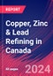 Copper, Zinc & Lead Refining in Canada - Market Size, Industry Analysis, Trends and Forecasts (2024-2029) - Product Thumbnail Image