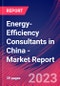 Energy-Efficiency Consultants in China - Industry Market Research Report - Product Image