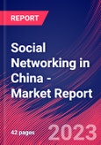 Social Networking in China - Industry Market Research Report- Product Image