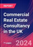 Commercial Real Estate Consultancy in the UK - Industry Market Research Report- Product Image