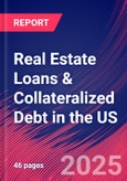 Real Estate Loans & Collateralized Debt in the US - Market Research Report 2015-2030- Product Image