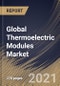 Global Thermoelectric Modules Market By Offering, By Type, By Model, By Functionality, By End User, By Regional Outlook, Industry Analysis Report and Forecast, 2021 - 2027 - Product Image