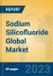 Sodium Silicofluoride Global Market Insights 2023, Analysis and Forecast to 2028, by Manufacturers, Regions, Technology, Application, Product Type - Product Image