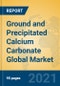 Ground and Precipitated Calcium Carbonate Global Market Insights 2021, Analysis and Forecast to 2026, by Manufacturers, Regions, Technology, Application - Product Thumbnail Image