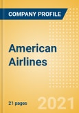 American Airlines - Enterprise Tech Ecosystem Series- Product Image