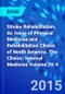 Stroke Rehabilitation, An Issue of Physical Medicine and Rehabilitation Clinics of North America. The Clinics: Internal Medicine Volume 26-4 - Product Image