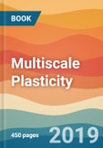 Multiscale Plasticity- Product Image