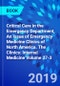 Critical Care in the Emergency Department, An Issue of Emergency Medicine Clinics of North America. The Clinics: Internal Medicine Volume 37-3 - Product Image