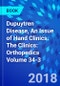 Dupuytren Disease, An Issue of Hand Clinics. The Clinics: Orthopedics Volume 34-3 - Product Thumbnail Image