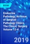 Endocrine Pathology, An Issue of Surgical Pathology Clinics. The Clinics: Surgery Volume 12-4 - Product Thumbnail Image