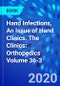 Hand Infections, An Issue of Hand Clinics. The Clinics: Orthopedics Volume 36-3 - Product Thumbnail Image
