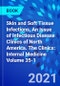 Skin and Soft Tissue Infections, An Issue of Infectious Disease Clinics of North America. The Clinics: Internal Medicine Volume 35-1 - Product Thumbnail Image
