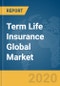 Term Life Insurance Global Market Opportunities and Strategies to 2030 - Product Thumbnail Image