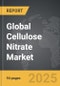 Cellulose Nitrate - Global Strategic Business Report - Product Image