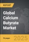 Calcium Butyrate - Global Strategic Business Report - Product Thumbnail Image