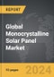 Monocrystalline Solar Panel - Global Strategic Business Report - Product Thumbnail Image