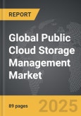 Public Cloud Storage Management - Global Strategic Business Report- Product Image