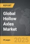 Hollow Axles - Global Strategic Business Report - Product Thumbnail Image