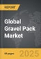 Gravel Pack - Global Strategic Business Report - Product Thumbnail Image