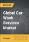 Car Wash Services - Global Strategic Business Report - Product Thumbnail Image