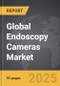 Endoscopy Cameras - Global Strategic Business Report - Product Thumbnail Image