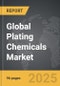 Plating Chemicals: Global Strategic Business Report - Product Thumbnail Image