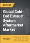 Cold-end Exhaust System Aftermarket - Global Strategic Business Report - Product Thumbnail Image