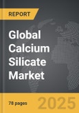 Calcium Silicate - Global Strategic Business Report- Product Image