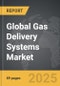 Gas Delivery Systems - Global Strategic Business Report - Product Thumbnail Image