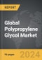 Polypropylene Glycol: Global Strategic Business Report - Product Thumbnail Image