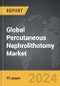 Percutaneous Nephrolithotomy - Global Strategic Business Report - Product Thumbnail Image