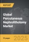 Percutaneous Nephrolithotomy - Global Strategic Business Report - Product Image