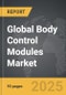 Body Control Modules - Global Strategic Business Report - Product Thumbnail Image