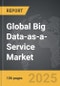 Big Data-as-a-Service (BDaaS) - Global Strategic Business Report - Product Thumbnail Image