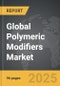 Polymeric Modifiers - Global Strategic Business Report - Product Thumbnail Image