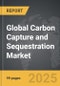 Carbon Capture and Sequestration - Global Strategic Business Report - Product Image